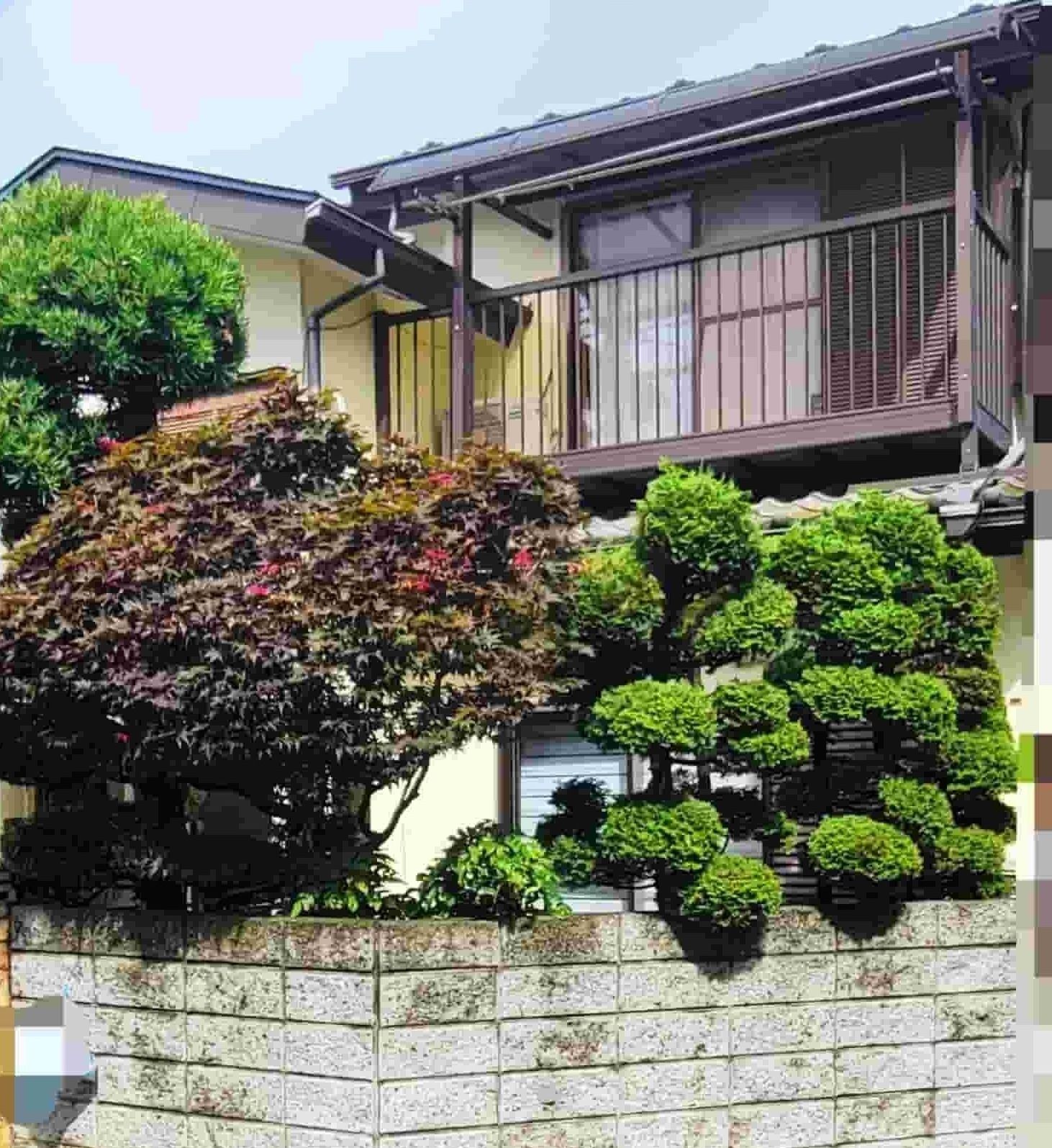 剪定前、庭木が伸び放題で二階のベランダや外壁を覆っている邸宅