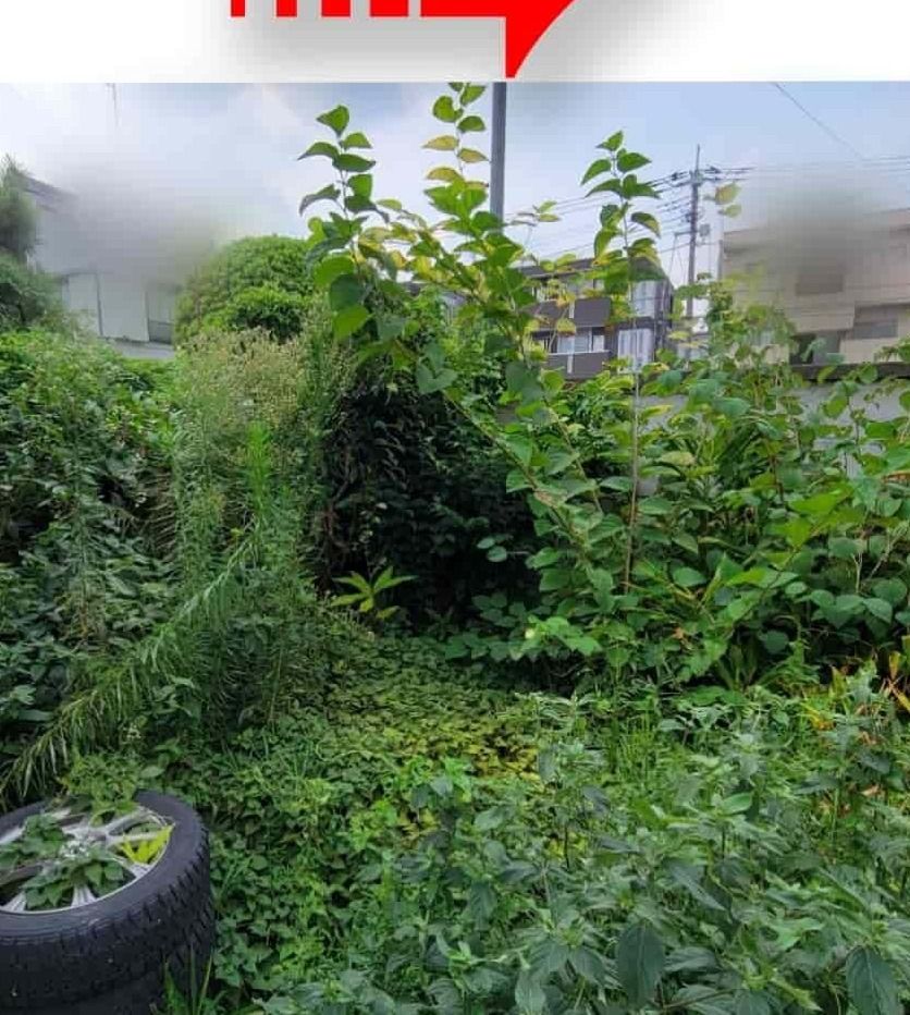 整理前、タイヤと雑草に埋もれた裏庭